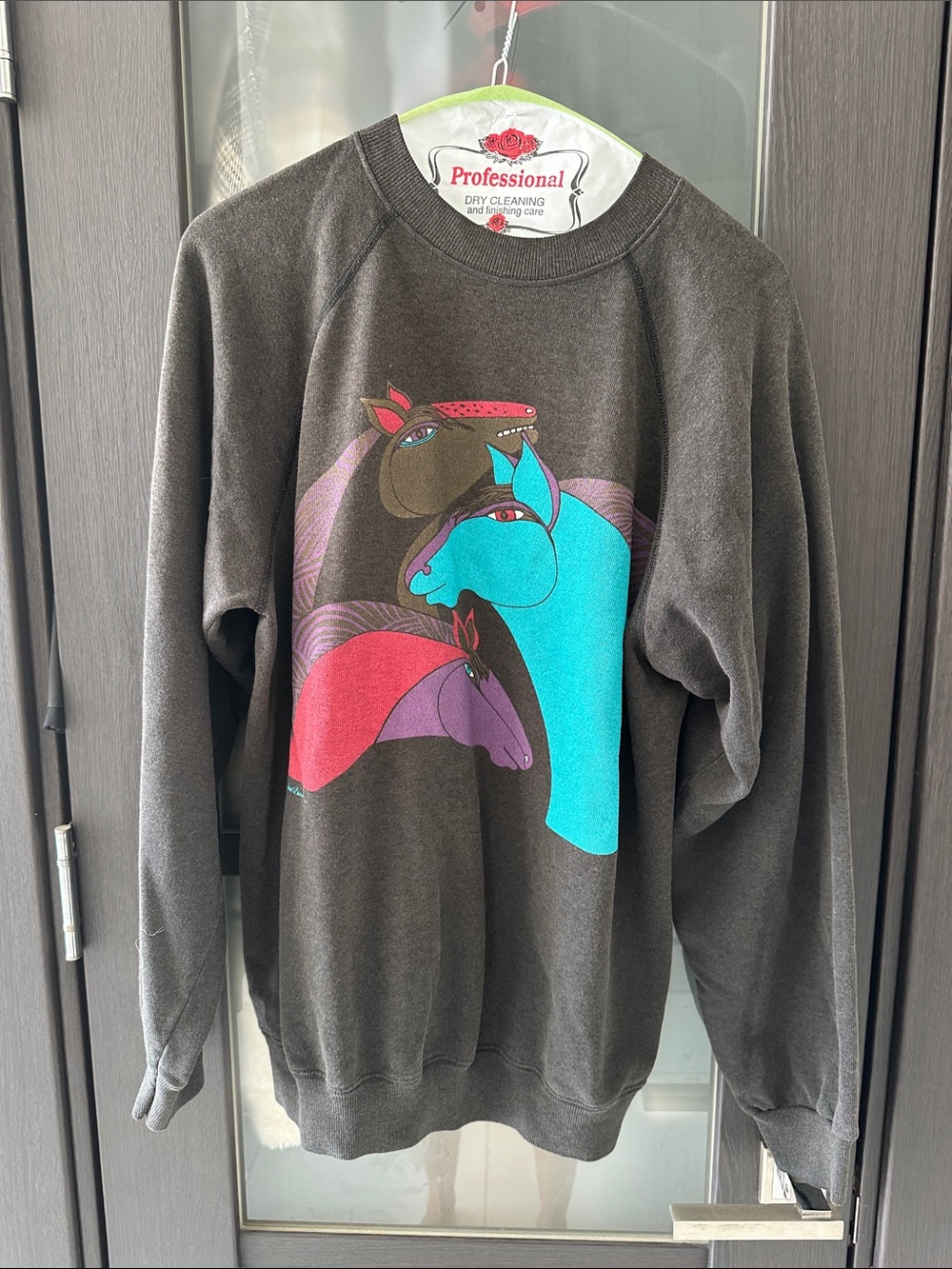 Laurel BurchMen's Graphic Sweatshirt with Colorful Horse Print - Brown/Teal/Pink